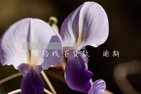 恒信线下贷款 逾期
